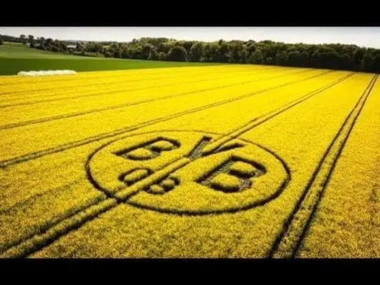 Borussia Dortmund Borussia Dortmund