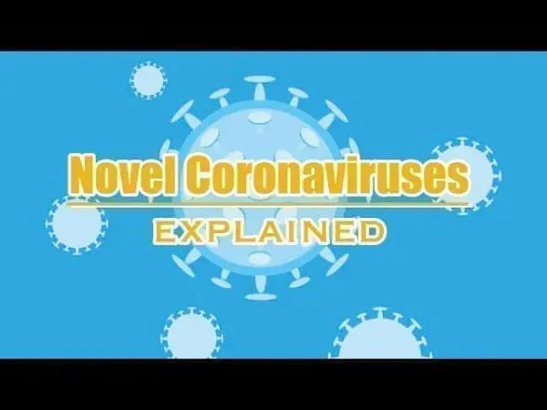 novel coronavirus (2019-nCoV) novel coronavirus (2019-nCoV)