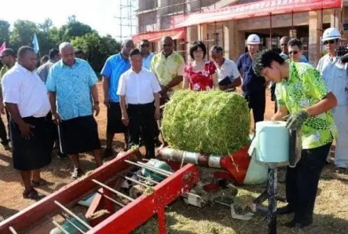 Chief scientist Lin Zhanxi of China National Engineering Research Center of Juncao Technology, Fujian Agriculture and Forestry University, shows how to process Juncao to local farmers in Fiji at the fifth workshop of the China-Fiji Juncao Technology Cooperation Project. (Photo provided by Lin Zhanxi) Chief scientist Lin Zhanxi of China National Engineering Research Center of Juncao Technology, Fujian Agriculture and Forestry University, shows how to process Juncao to local farmers in Fiji at the fifth workshop of the China-Fiji Juncao Technology Cooperation Project. (Photo provided by Lin Zhanxi)