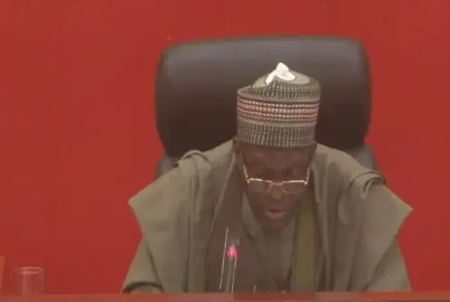 Bagbin Bagbin