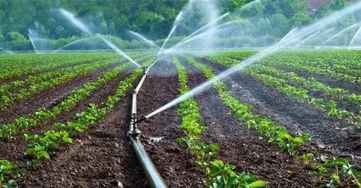 Irrigation Farming Irrigation Farming