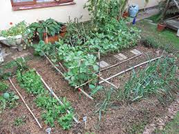 Backyard Farming Backyard Farming